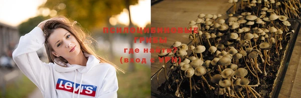 мдпв Нея