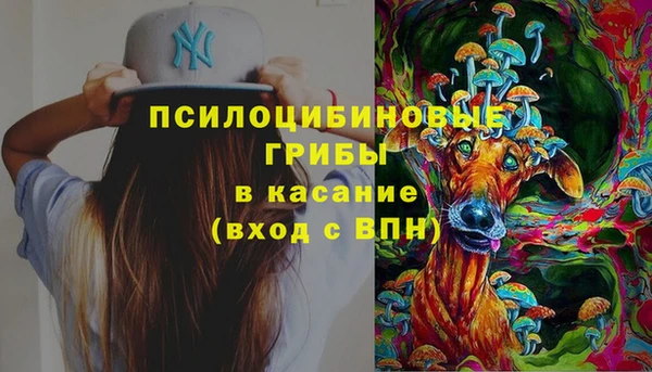 мдпв Нея
