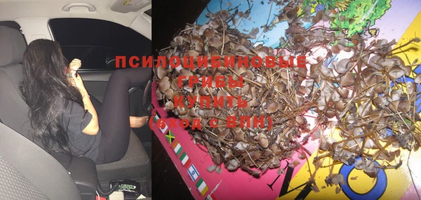 мдпв Нея