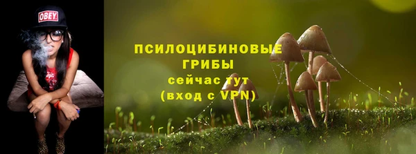 мдпв Нея