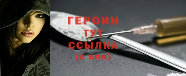 шишки Надым