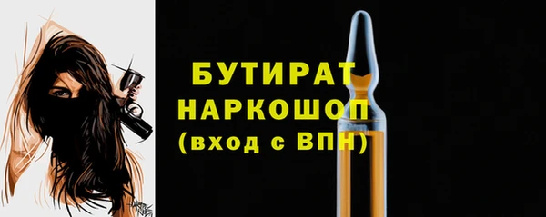 шишки Надым