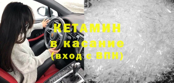 шишки Надым