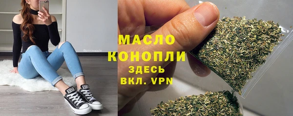 шишки Надым