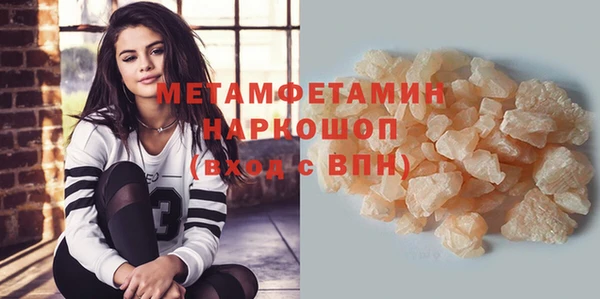 шишки Надым