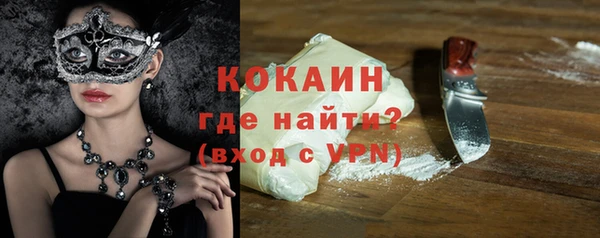 шишки Надым
