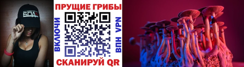 Псилоцибиновые грибы прущие грибы  Красноуфимск 
